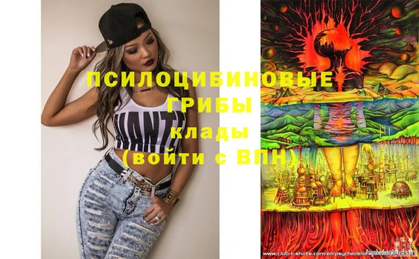 эйфоретик Вяземский