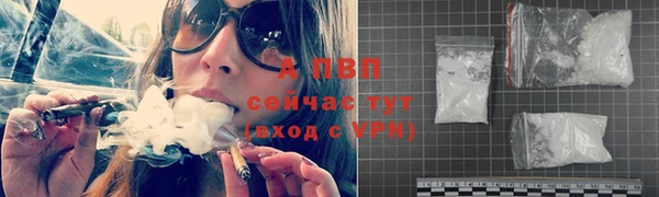 эйфоретик Вяземский