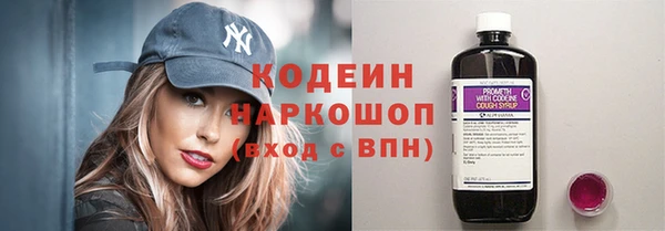 эйфоретик Вяземский
