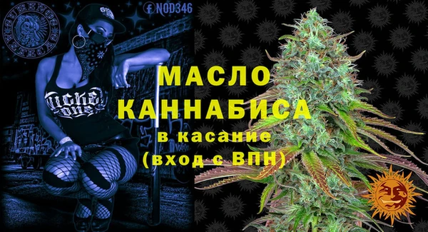 эйфоретик Вяземский