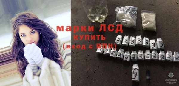 эйфоретик Вяземский