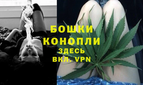 эйфоретик Вяземский