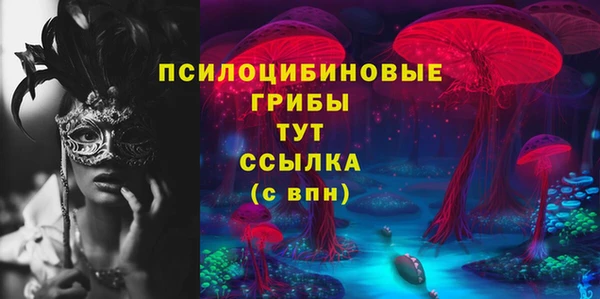 эйфоретик Вяземский