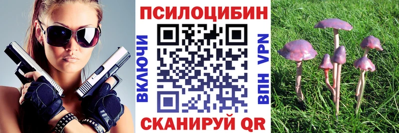 хочу   Рубцовск  Галлюциногенные грибы GOLDEN TEACHER 